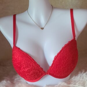 Rosy Lace Bra - Red
